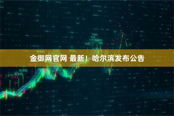 金御网官网 最新！哈尔滨发布公告