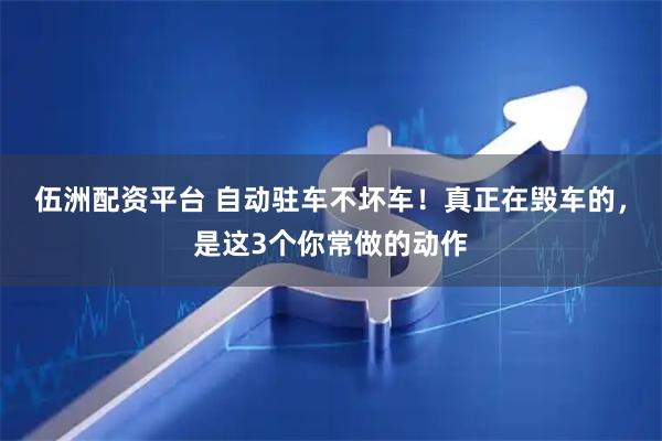 伍洲配资平台 自动驻车不坏车！真正在毁车的，是这3个你常做的动作